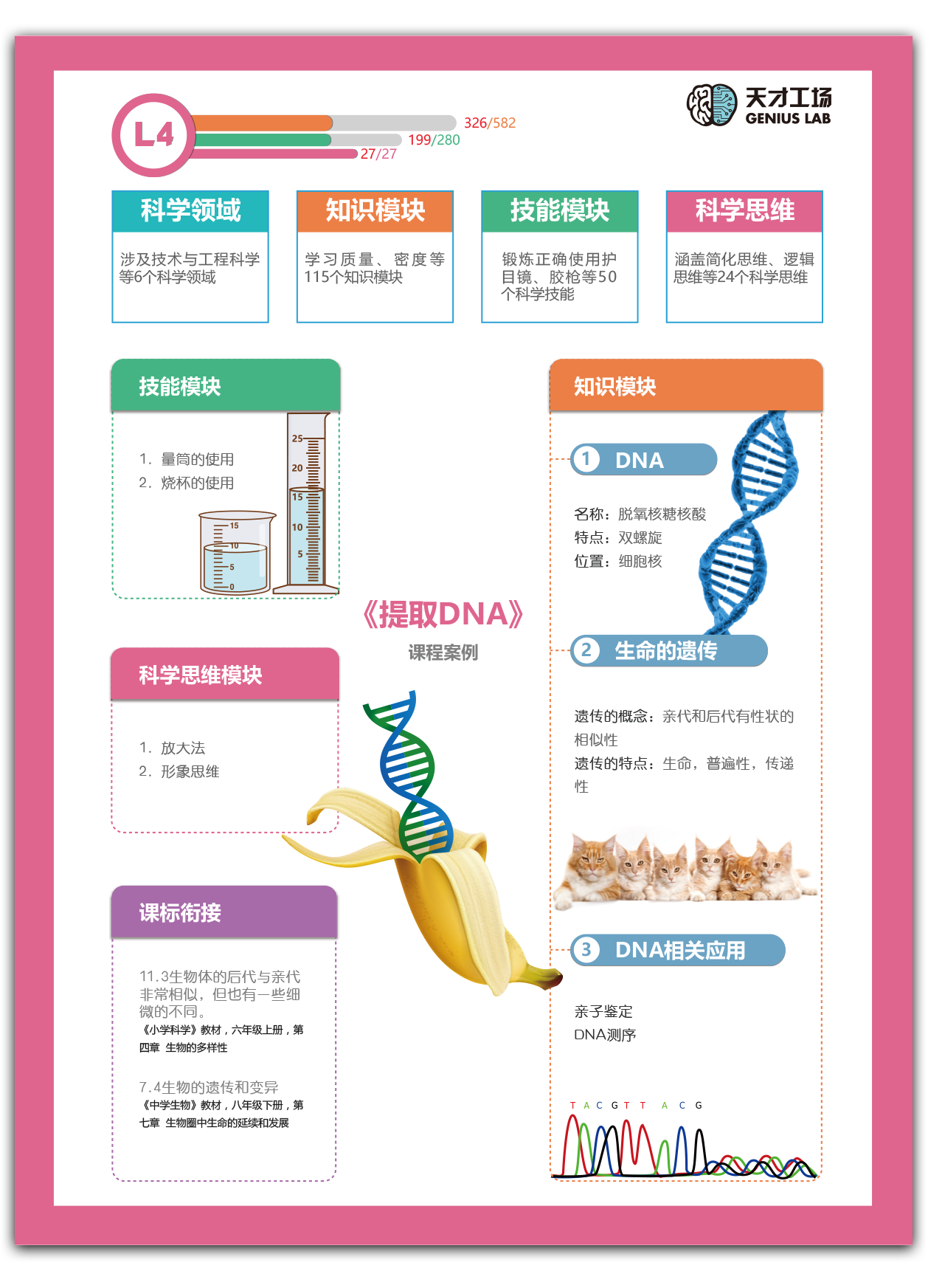 提取DNAsteam案例